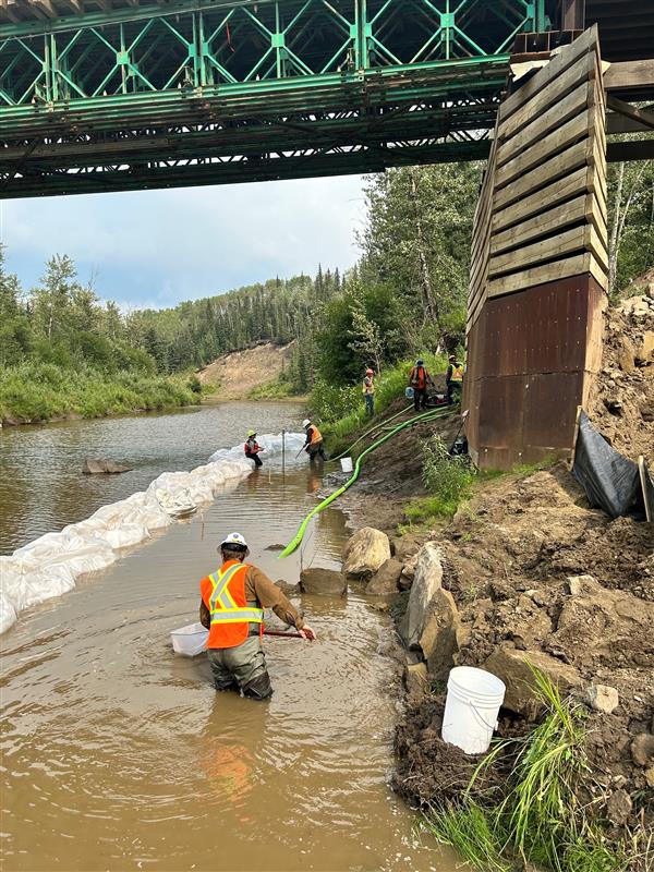 Bridge Repairs