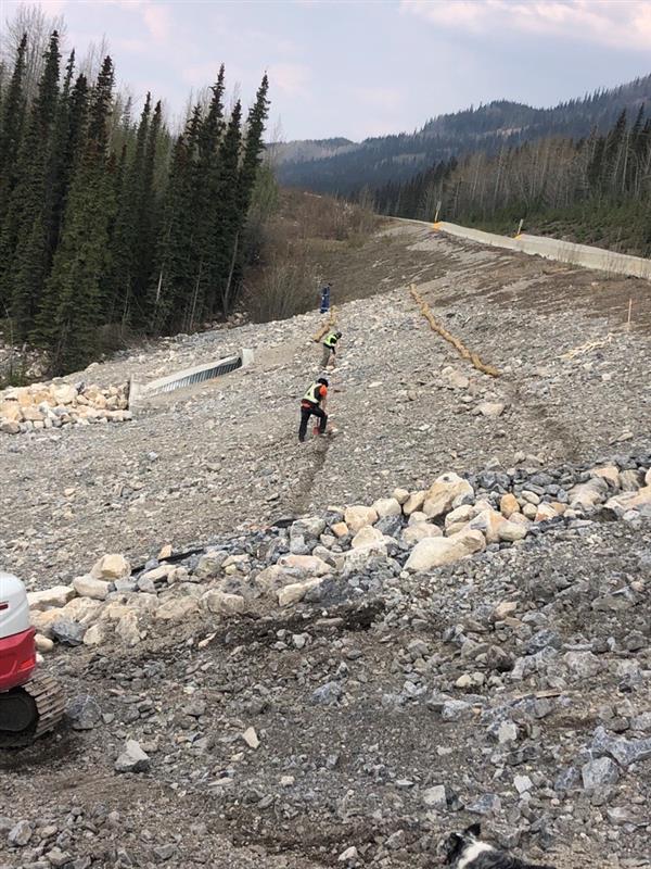 Culvert replacement ACL Construction